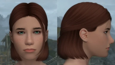 Ellie-like (The Last of Us 2) haircut? : r/skyrimmods