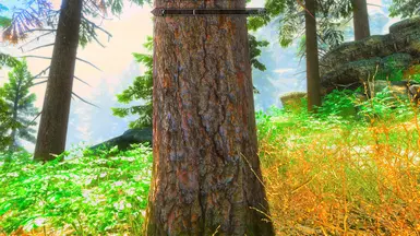 Barking up the wrong or right tree depending on how lit it is