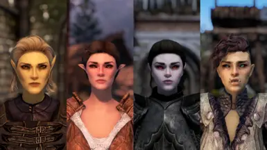 Elven Ladies - RaceMenu Preset Pack at Skyrim Special Edition Nexus ...