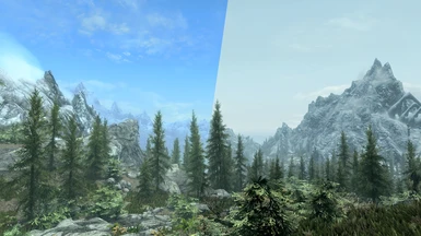 Before/After (Pine Forests)