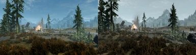 Before and After Tundra