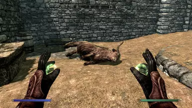 Works on animals
