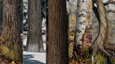 HD Remastered Tree Bark - Happy Little Trees - 16k 8k 4k 2k