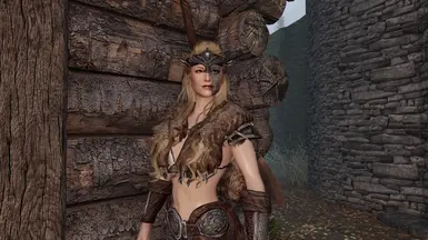 AW Mjoll and Aerin Replacers at Skyrim Special Edition Nexus