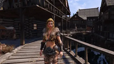 AW Mjoll and Aerin Replacers at Skyrim Special Edition Nexus