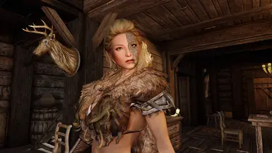 AW Mjoll and Aerin Replacers at Skyrim Special Edition Nexus