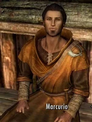skyrim max carry weight