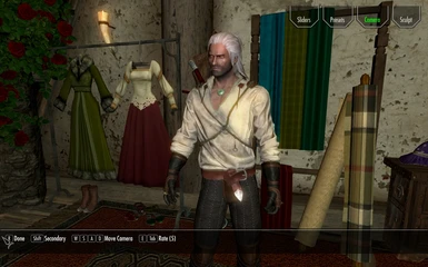  witcher 2 style