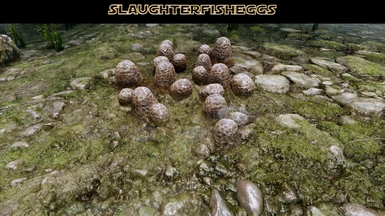 Slaughterfisheggs - Retexture - Pfuscher