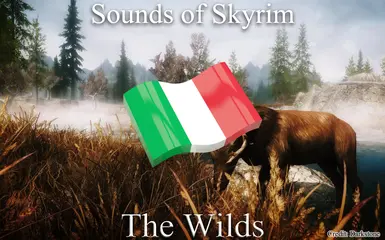 Sounds of Skyrim - The Wilds - ITA