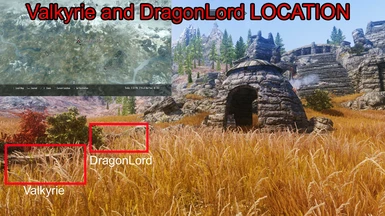 Valkyrieand DragonLord Location