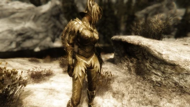 TL Elven armor  pic by snelss0  1