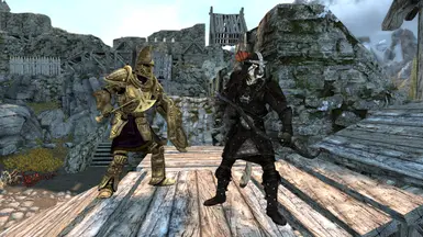 Dwarvish and leather equipment.