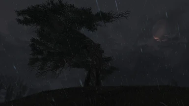 Bent Pine on a Stormy Night