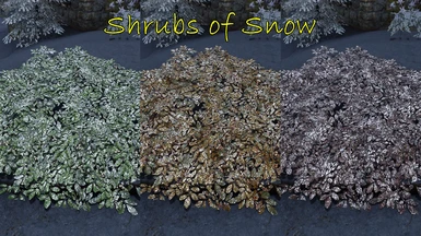 Green, Orange, and Red Shrubs of Snow Textures