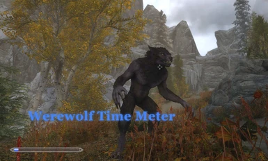 Werewolf Time Meter title2