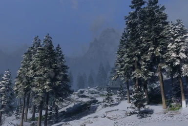Light Snow Pines