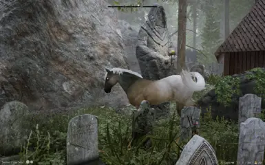 witcher horse expansion