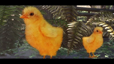 Chicks - Mihail Animal Fluffy
