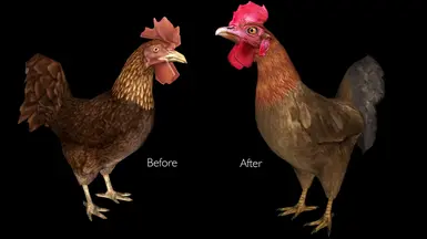 New HD Rooster