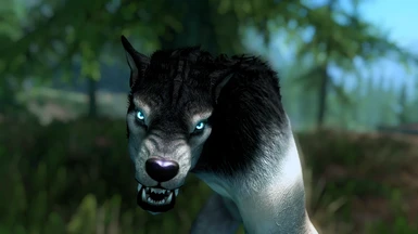 Husky Werewolf by KrittaKitty