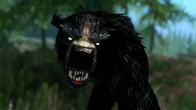 Ursus Thibetanus - Black Werebear by KnErBSE73
