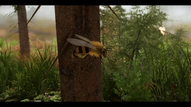 Rally's Bees And More (High Poly)