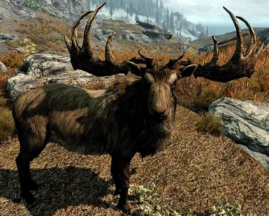 Now you can finally play Skyrim role-playing as an Elk. Jump freely, fellow Elk-kin.