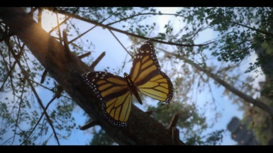 SpiRally's Beautiful Butterflies Enhanced