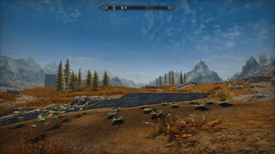 Lightweight ENB + Cathedral, Daytime, Sunny