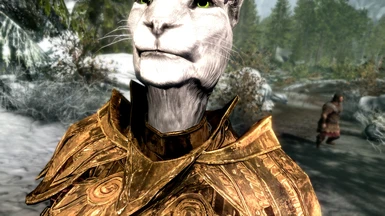3BA Elven Khajiit Neck Area in 1.2 still has clipping at some angles