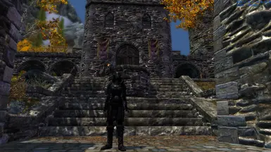 Female Black Armor With Enhanced Graphics Front