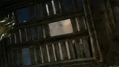 The Roof