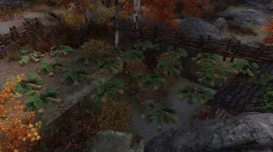 before patch