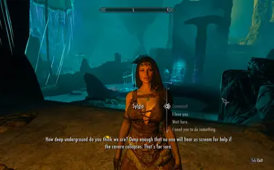 SEX at Skyrim Special Edition Nexus - Mods and Community