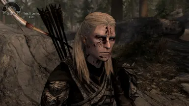 Legolas (LOTR) at Skyrim Special Edition Nexus - Mods and Community