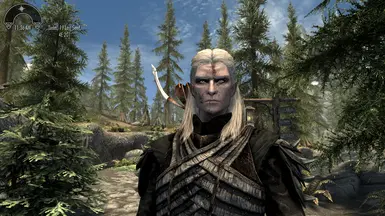 Legolas (LOTR) at Skyrim Special Edition Nexus - Mods and Community