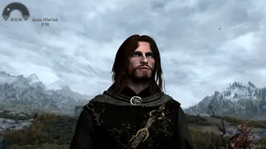 Aragorn (LOTR) at Skyrim Special Edition Nexus - Mods and Community