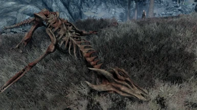 4K Dragon Skeleton