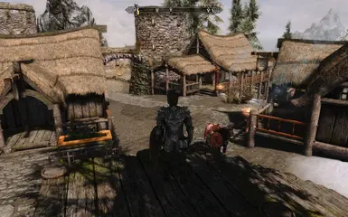 ScreenShot2