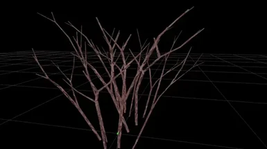 3D Thicket