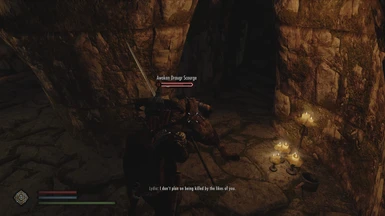 Draugr with empty stun bar will get downed if enabled in Valhalla Combat MCM