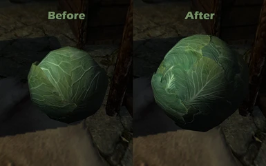 Cabbage Comparison