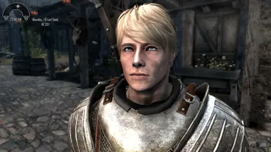 Arthur Pendragon at Skyrim Special Edition Nexus - Mods and Community