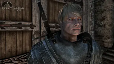 Arthur Pendragon at Skyrim Special Edition Nexus - Mods and Community