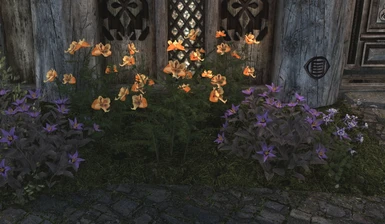 After: downscaled Nightshade and Mountain Flowers