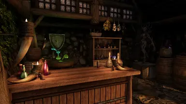 Distinct Interiors Patch Collection at Skyrim Special Edition Nexus ...