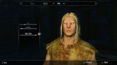 Nord with Snow elf eyes and brows and haircolor