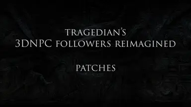 3DNPC Followers Reimagined - Patches