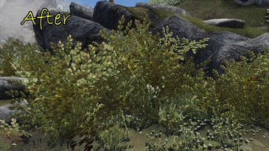 The Reach Bushes from this mod